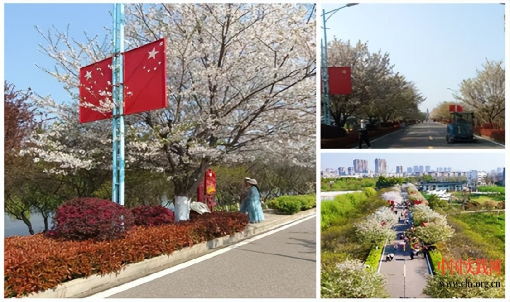 湘鄂西革命列士陵园2025清明祭英烈：樱花朵朵寄哀思 精神如柏立天地
