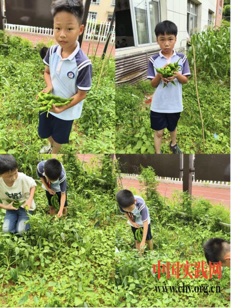 躬身出真知，耕耘创幸福——上饶市信州区朝阳中心小学溪边校区劳动教育基地成果展示
