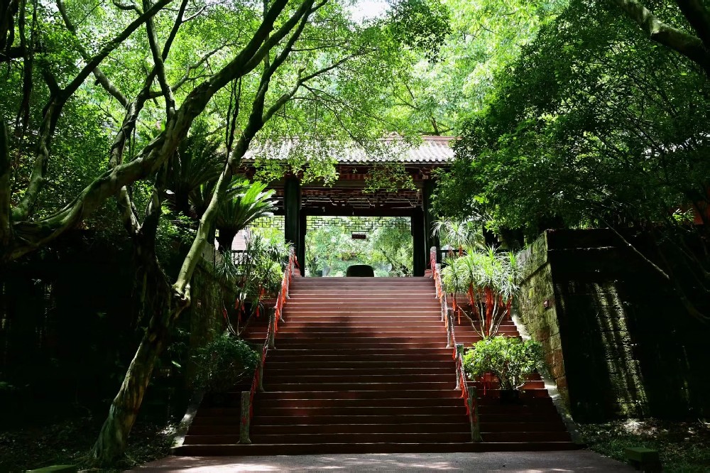 东方佛都夏日游记:乐山夏天最凉地,百窟地宫好乘凉