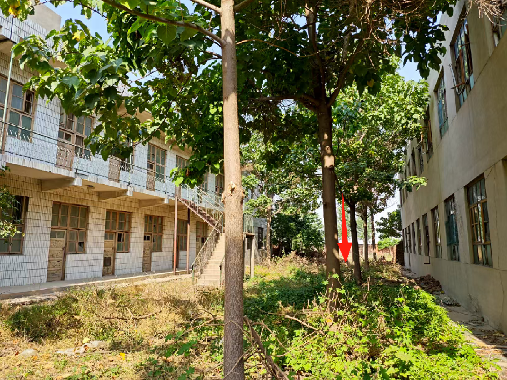 从拘留十日到缓刑三年，河北检方受理复查16年前“张贵敏案”