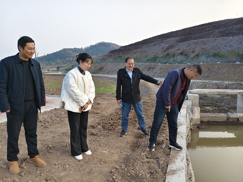 安徽怀宁：乡村水利修整忙